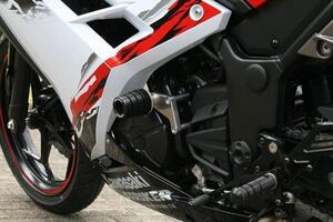 Ninja250/Z250 ABS 13～17　STRIKER(ストライカー)　ガードスライダー