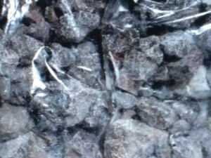 ブラック岩塩4kg