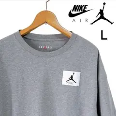 【海外限定】 NIKE ナイキ エアジョーダン 半袖 Tシャツ L グレー