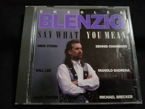 Charles Blenzig / Say What You Mean マイク・スターン　デニス・チェンバース　マイケル・ブレッカー　ウィル・リーほか