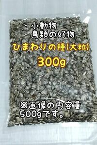 アメリカ産 ひまわりの種 300g 大粒 小動物 鳥類 ハムスターのおやつ インコ