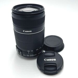 【超美品】Canon EF-S 55-250mm F4-5.6 IS STM