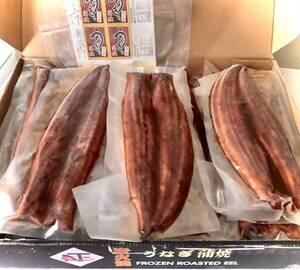 【インボイス対応】1尾あたり1480円■【1級品/真空パック】特大鰻(うなぎ)蒲焼き無頭背開中国15尾/5kg　: 蒲焼き真空パック！高品質。。