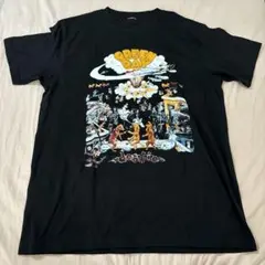 GREEN DAY 全米dookie tour 1994 Tシャツ large