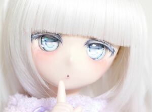 衣装、小物付 ディーラー様カスタムヘッド VOLKS ボークス Dollfie Dream ドルフィードリーム DDH-01 フレッシュ（ノーマル）肌　ドール