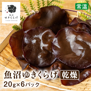 送料無料 新潟県産 南魚沼市 ぷりぷり食感 魚沼ゆきくらげ 乾燥20g×6パック 常温 国産 きくらげ キクラゲ