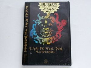 THE BACK HORN バックホーン LIVE IN THE SUN DVD a178