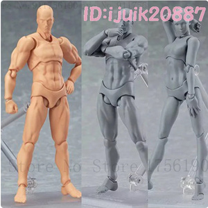 Ct2072: 人体 プラモデル 男 女 アクションフィギュア 可動 デッサン スケッチ用 おもちゃ 新品 人形 1体 男性 女性