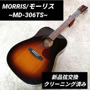 弦交換 MORRIS　モーリス　MD-306TS MD 306 アコースティックギター　アコギ スプルース マホガニー　ギター