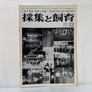 採集と飼育 1967年12月号★第3回採集と飼育の会年会スナップ/シロイヌナズナとトキワマンサクについて2-3の記録/生物の知識・観察と実験