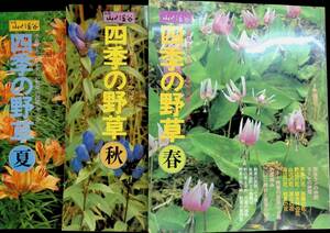 ★送料0円★　3冊セット　別冊山と渓谷　四季の野草　春・夏・秋　山と渓谷社　昭和55年　ZB240312M1