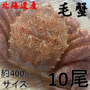 【北海道産】毛蟹　400ｇ前後サイズ　10尾　冷凍　ボイル済み　毛がに　けがに　蟹　かに　毛ガニ　がに