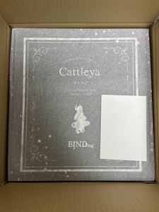 新品、未開封 正規品 送料無料 カトレア 1/4スケール native ネイティブ BINDing