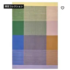 未使用 IKEA イケア TESAMMANS テサッマンス ラグ マルチカラー