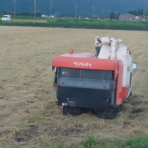 (022)熊本産ヒノヒカリ玄米３㌔