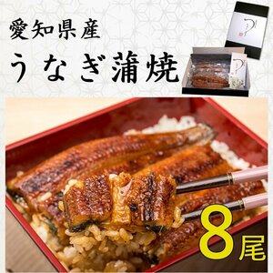 【送料無料】◆愛知県産 うなぎ 蒲焼 (151g～181g) x 8尾 国産★鰻蒲焼：真空パック・冷凍　送料無料:一部地域対象外