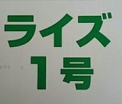 餌「ライズ １号」稚魚用餌　１００g