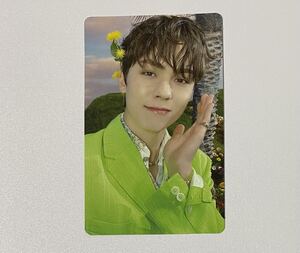 SEVENTEEN バーノン SECTOR17 NEW BEGINNING Kit Album キノ キット トレカ VERNON Photocard