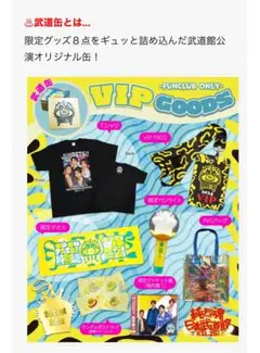 武道館 VIP GOODS 限定セット