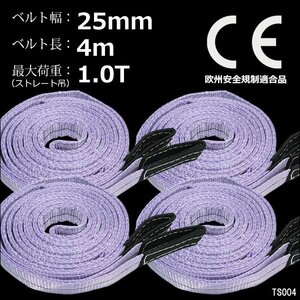 CE規格品 ベルトスリング ナイロンスリング 幅25mm×4m ストレート吊 1T [4本セット] 両端アイ型 吊りベルト 荷吊 運搬 牽引/13