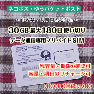 [30GB使い切り最大180日間] データ通信専用プリペイドSIM [DOCOMO回線MVMO] （規定容量使用後は通信停止） #冬狐堂