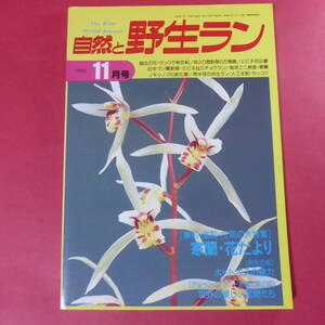 YN4-241219☆自然と野生ラン 1993年11月号 ※ 寒蘭 ユキワリソウ ウチョウラン セッコク ノキシノブ ※ 園芸JAPAN