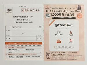 懸賞 選べる デジタルギフト giftee Box 1000円分 が当たる！ amazon ギフトカード RPONIT auPAY dpoint PayPay ポイント nanaco 等