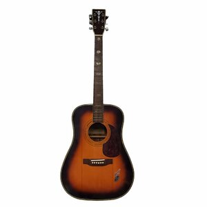 ARIA　アリア　ジャパンビンテージアコースティックギター　DW-300