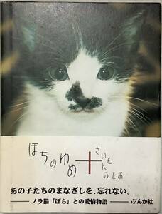 【ぽちのゆめ】斎門富士男著　ぶんか社　,,検索,, フォトライブ 猫　ねこ　さいもんふじお　写真集　ペット　動物