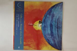 伊2discs LP Calm Moonage Electric Ensemble HYR7267 HELL YEAH RECORDINGS 未開封 /00520