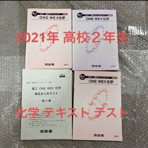 化学 河合塾 高校ニ年 2021年 テキスト 大学受験対策 テスト まとめ売り 高校グリーンコース テキストセット 予習テキスト 