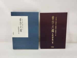 sa☆/ 書作大鑑 色紙揮毫の巻 北川博邦 高橋蒼石 高橋蒼玄 渡辺半溟 共著 2008年発行 字典舎　/DY-3235