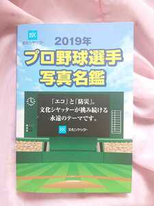 プロ野球選手写真名鑑　2019年