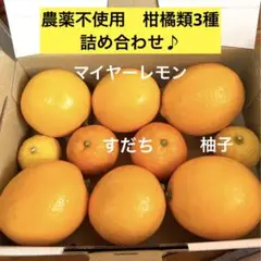 農薬不使用　柑橘類3種詰め合わせ♪ 残りわずか！