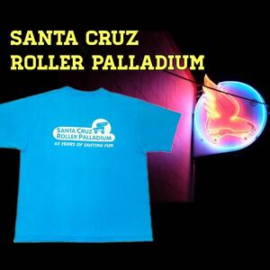 USAヴィンテージSanta Cruz Roller Palladium ヘインズ製 Lサイズ サンタクルーズローラーリンクパラデューム アメリカ製レア物