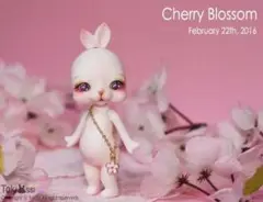 Tokkisi Toki cherry blossom うさぎドール