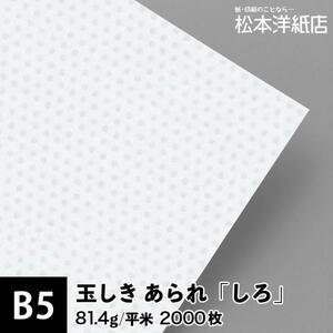 玉しき あられ しろ 81.4g/平米 B5サイズ：2000枚 和紙 和風 素材 印刷紙 印刷用紙 和柄 模様 色紙 いろがみ