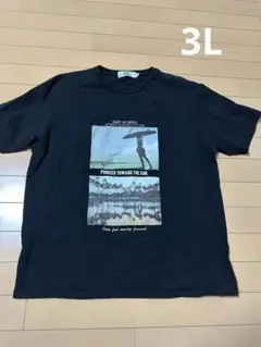 Daniel Dodd メンズ　半袖Ｔシャツ　黒　3L  夏