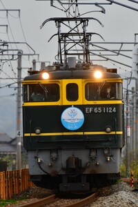 　デジタル画像　　850-27　EF651124・サロンカーなにわ瀬戸大橋30周年記念号27⑫　　　