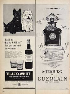 稀少！広告/1963年ゲラン ミツコ広告/Guerlain Mitsouko Paris/香水/フレグランス/アート/イラスト/Black & White/犬/A