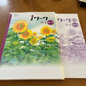 iワーク 別冊解答解説 別冊iワークプラス 問題集 東京書籍参考　中2数学