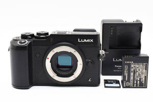 ■美品■ ルミックス Lumix DMC-GX8 ボディ 738#Ja06