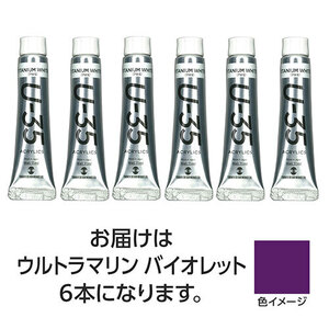 【6本×5セット】 ターナー色彩 U35 ウルトラマリンバイオレット11ml TURNER108854X5 /l