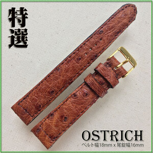 SALE！特選 １点モノ 金粉刻印 １８mm 本革 OSTRICH ダチョウ革 時計ベルト GOLDバックル オリジナル ブラウン バネ棒２本付