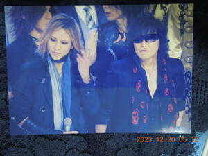 Toshl YOSHIKI ブロマイド 38 / TOSHI 龍玄とし / X JAPAN 生写真