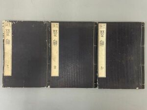 AR411「梵辞」3冊14～17巻欠 (検骨董書画掛軸巻物拓本金石拓本法帖古書和本唐本漢籍書道中国