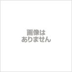 アンタイトル UNTITLED ブラウス カットソー 長袖 ラウンドネック シースルー 無地 2 M 白 ホワイト /FF9 レディース