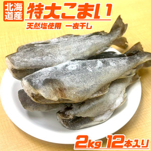 氷下魚 一夜干し 2kg 氷下魚 こまい コマイ 干物 寒海 かんかい カンカイ ヴァフニャ タラ 一夜干し 敬老 敬老の日 敬老ギフト