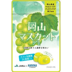 グミ 乳酸菌入り 岡山マスカットグミ カネカ食品 芳醇な香り 濃厚な味わい 果汁ジュレ ラブレ乳酸菌 岡山県産 マスカット 二重構造グミ