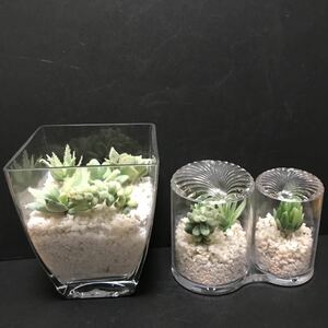 多肉植物の置物　2種セット　フェイクグリーン　美品